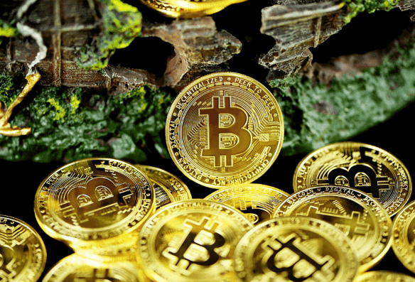 Risks of Investing in Cryptocurrency