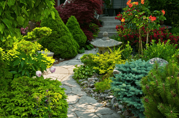 Garden Pathway Design Improvements